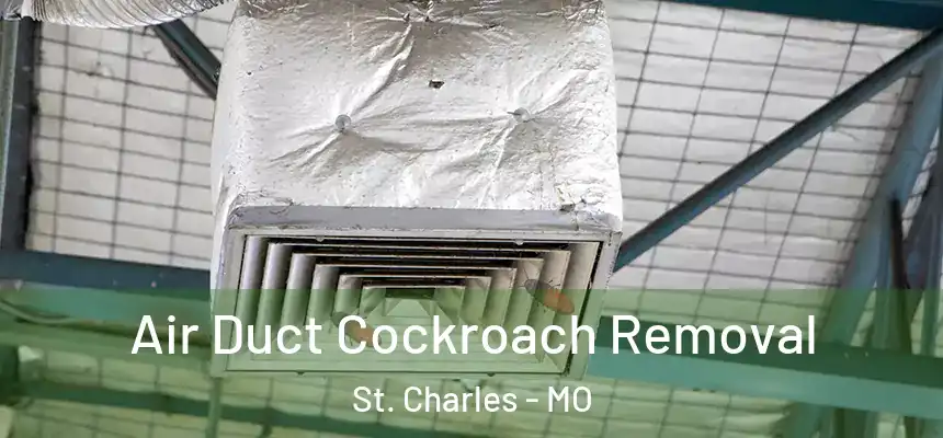 Air Duct Cockroach Removal St. Charles - MO