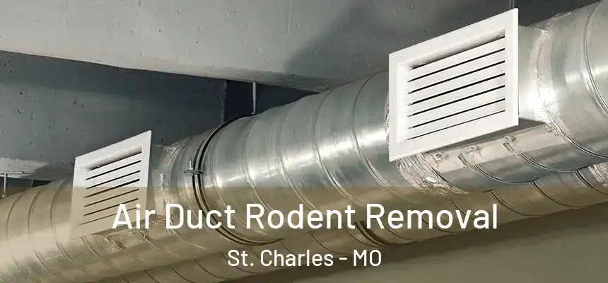 Air Duct Rodent Removal St. Charles - MO