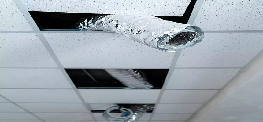 Our Air Duct Pet Hair Removal Services in St. Charles, MO