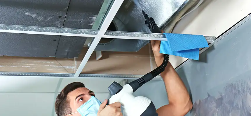 Our Air Duct Rodent Removal Services in St. Charles, MO