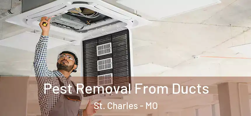 Pest Removal From Ducts St. Charles - MO
