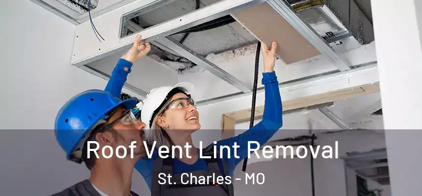 Roof Vent Lint Removal St. Charles - MO