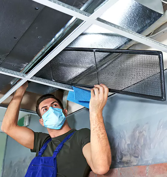 About Air Duct Bacteria Removal in St. Charles