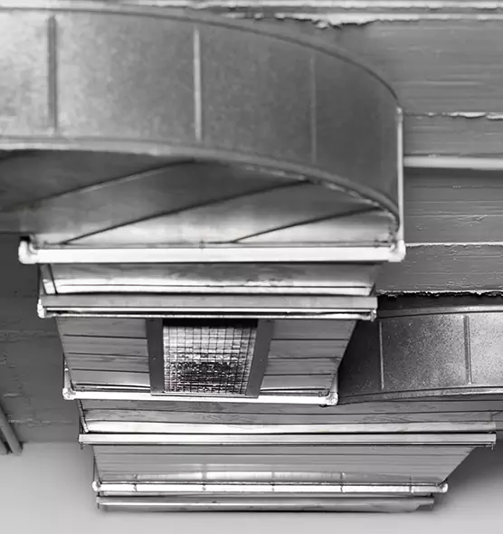 Professional Air Duct Pet Hair Removal in St. Charles, MO