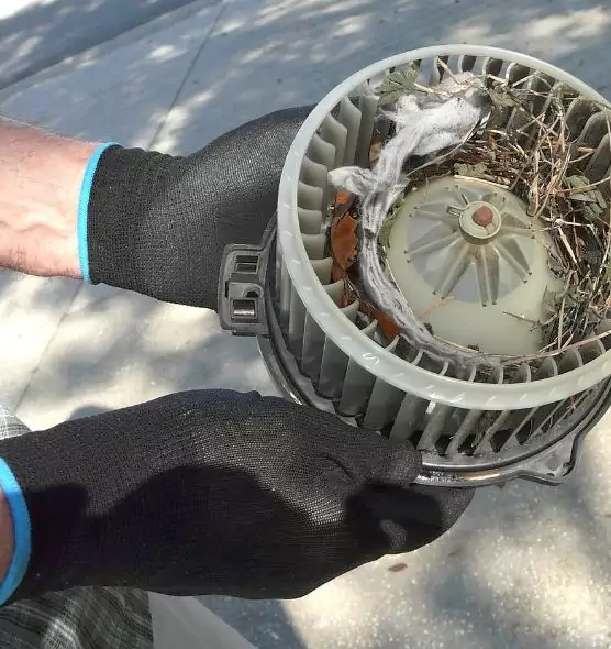 About Air Duct Rat Removal in St. Charles, MO