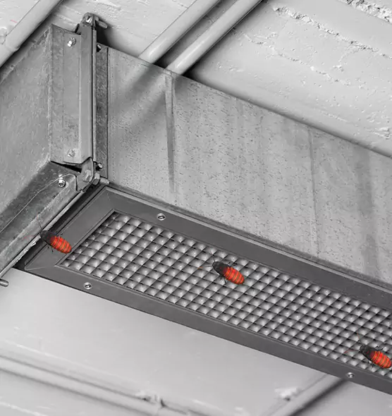 Affordable Insect Removal from Air Ducts in St. Charles, MO