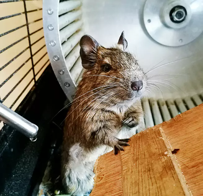 Why Homeowners & Businesses Trust Us St. Charles, MO?